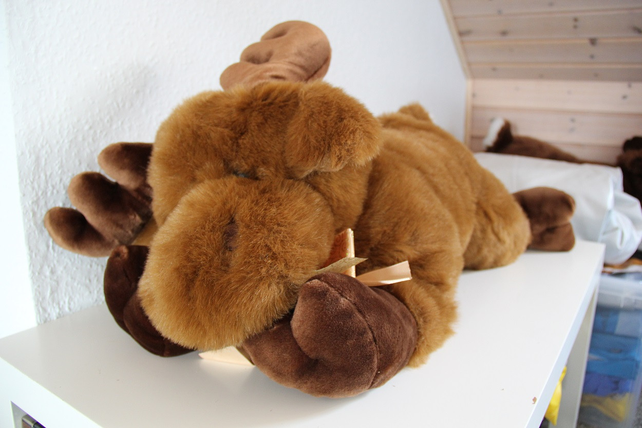 Kids of America Large Moose
