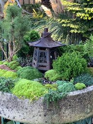 A Little Bit of Green Fantasy in the Autumn Gold