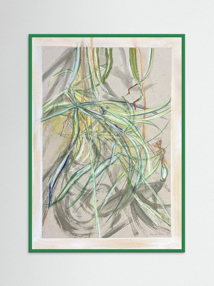 Spider Plant: Fine Art Giclée Print with a Choice of Frames - Copy