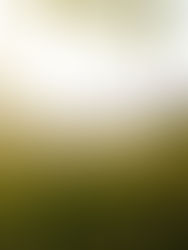 How do we recover from loss?