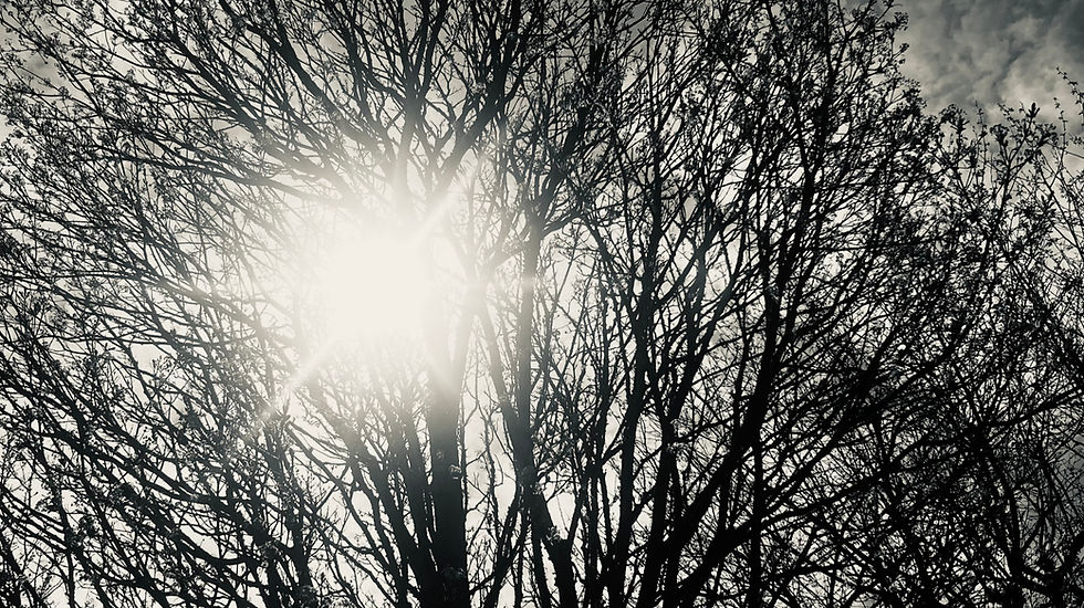 Coaching helps to create clarity so you can realign with your core vision and clear the pathway to growth.