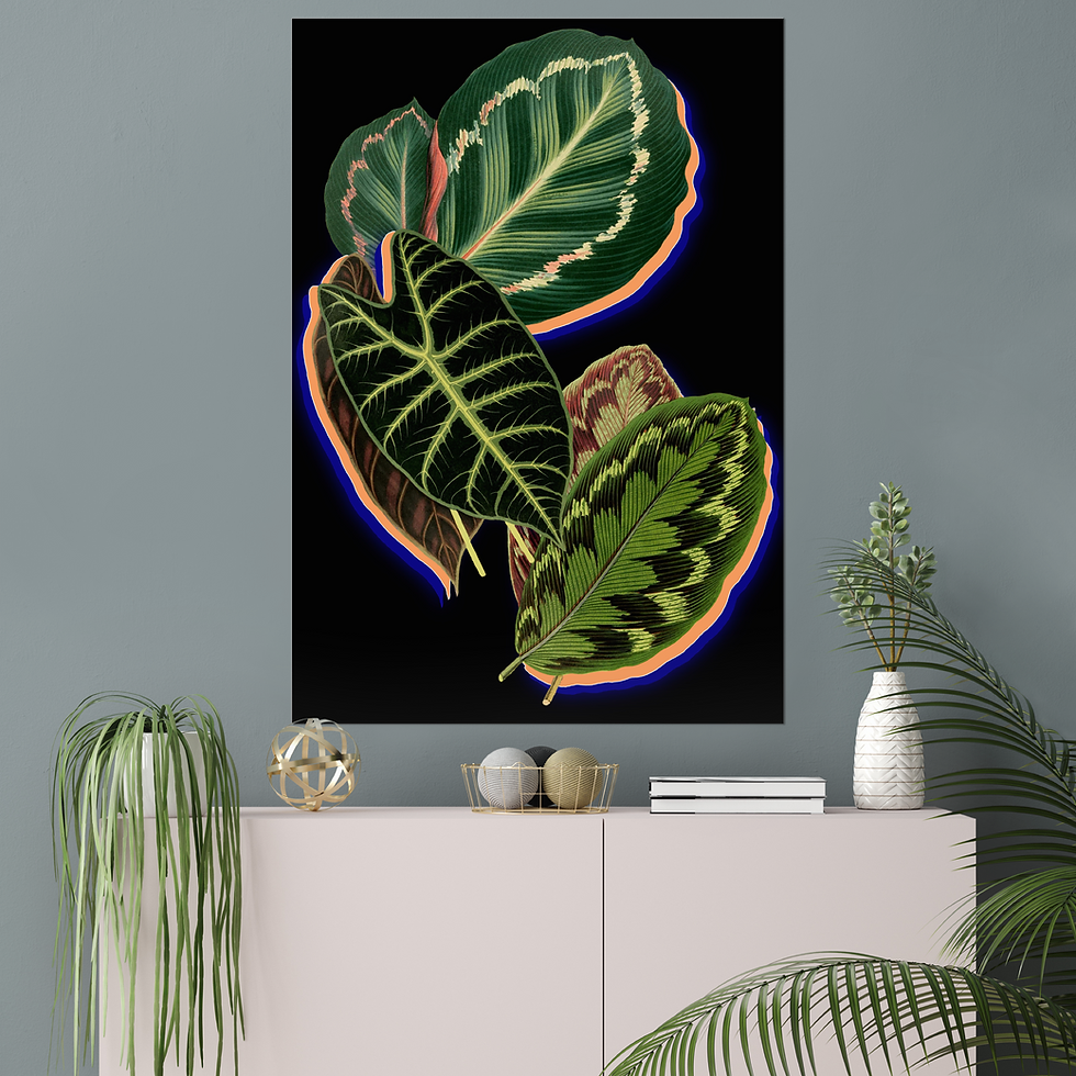 Thumbnail: Maranta Leaves: Art Print | Framed, Unframed or Mounted