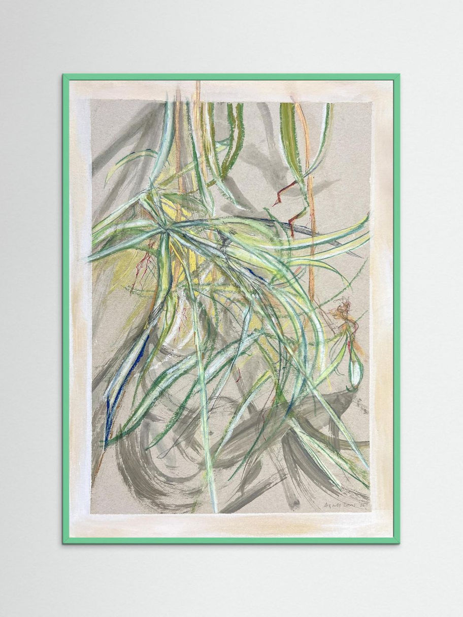 Spider Plant: Fine Art Giclée Print with a Choice of Frames - Copy
