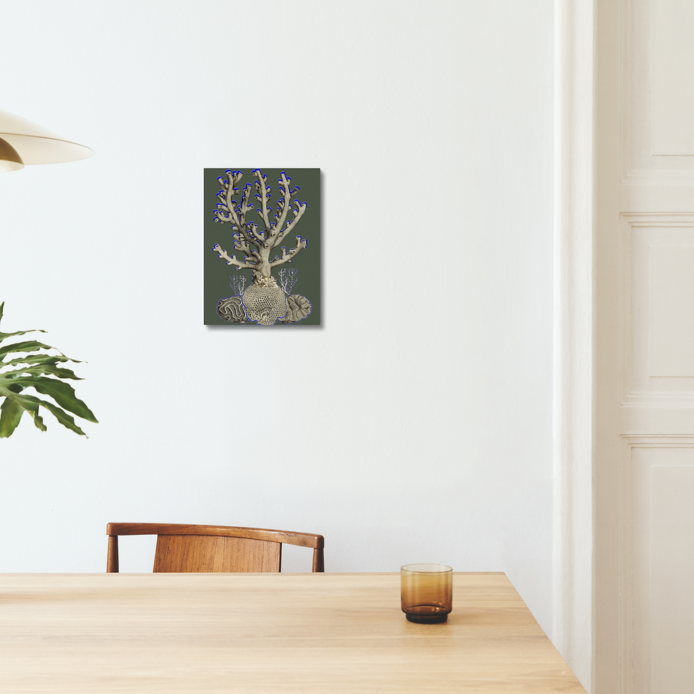 Thumbnail: Coral Beauty: Art Print | Framed, Unframed or Mounted