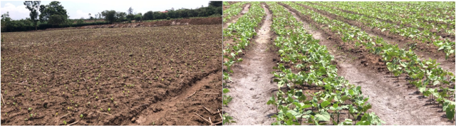 Take The Road Less Traveled