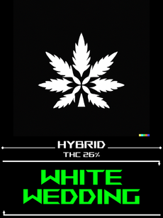 WHITE WEDDING