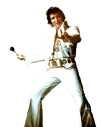 elvis2.gif
