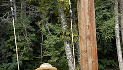 The Trails Welcomes Congresswoman Carol Miller