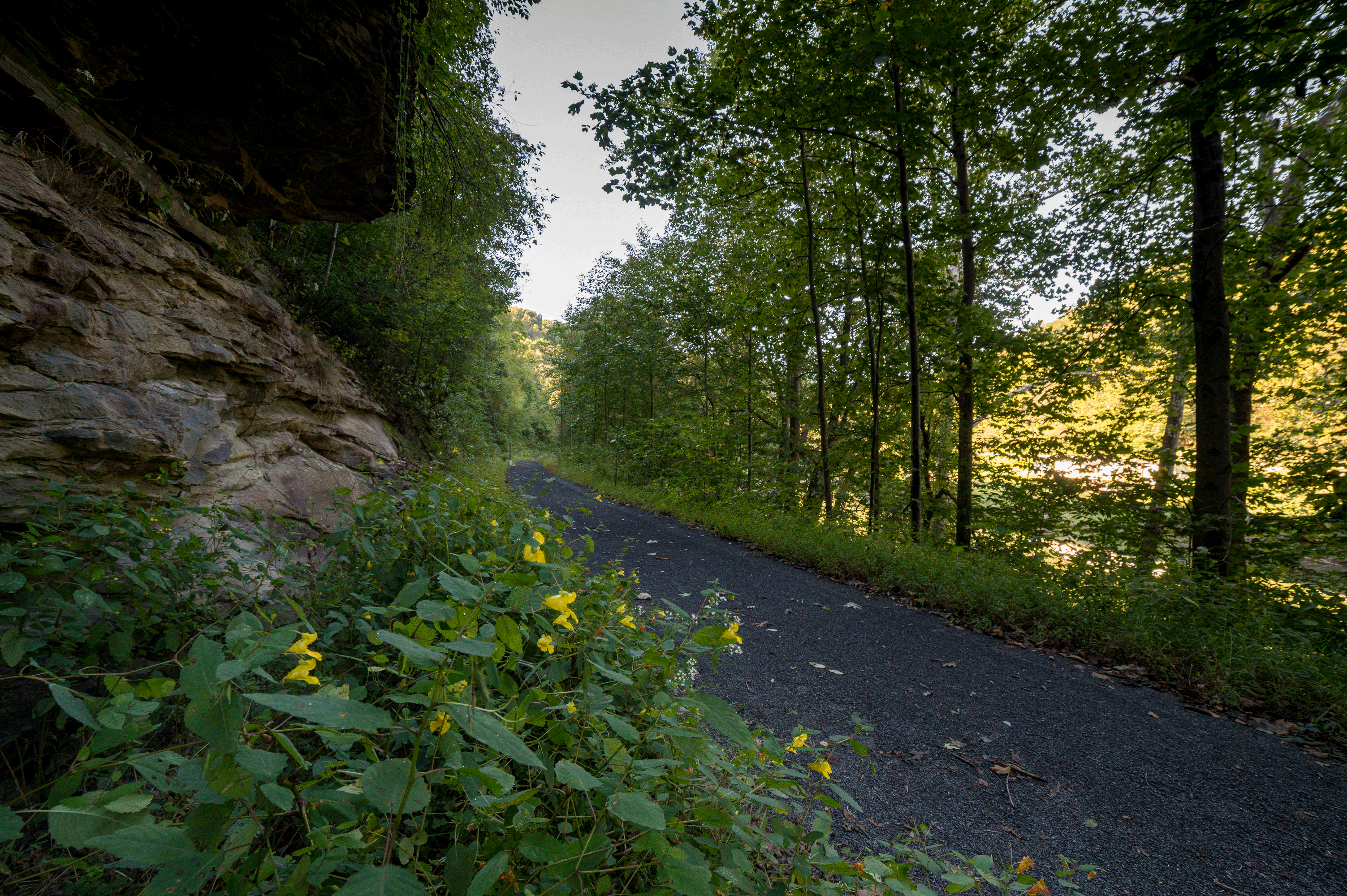 Connecting West Virginia Through Trails: A Reflection on the WV Trail Regional Meeting