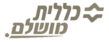 תמונה4.png