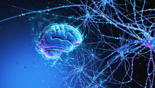 Practice and resistance - from our brain's persepctive