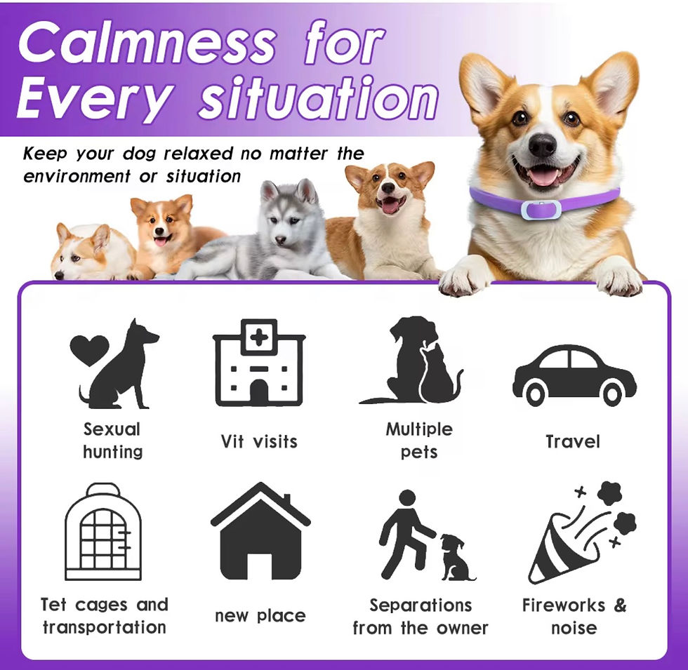 Thumbnail: 4 Pcs Dog Calming Collar Anxiety Relief Silicone Collar