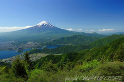 新道峠からの新緑と富士山