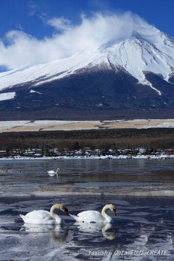 冬の山中湖