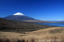 ススキ野原と富士山と南アルプスと