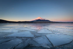 「氷の絨毯」山中湖からの夜明け