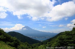 夏の爽やかな富士山