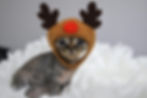 bc4c0f15-60ea-415c-b5c0-76c38a529754.jpg