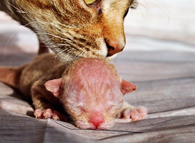 20840815_1191665957606167_26065125322873