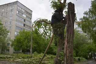 В районах Барнаула завершают работы по устранению последствий урагана