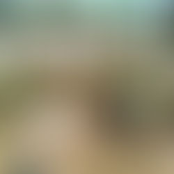 ТОС «Малаховский» открыл череду праздников ко Дню защиты детей 