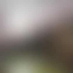 Школьники приняли участие в конкурсе чтецов «Во славу Отечества» 