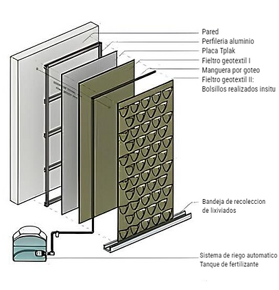 Estructura