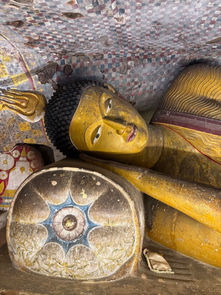 „Freundlichkeit ohne Hoffnung“