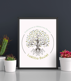 Laetitia Boulet Wild Communication Affiche Logo Naturopathe Avec Des Plantes Ornementales En Pots