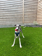 IMG_5720.jpeg