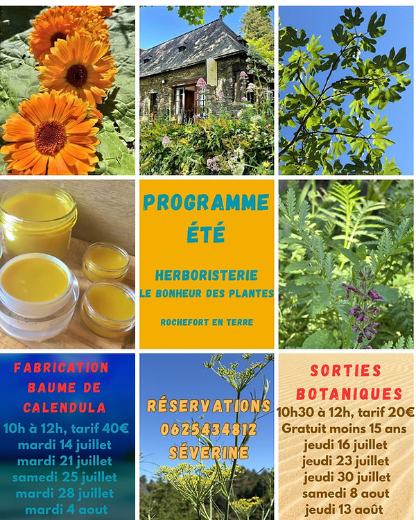 Programme été.JPG