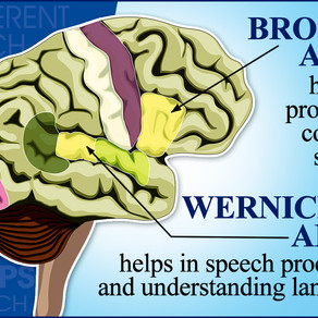 Vun d’Däerm vu Mengen Erënnerungen