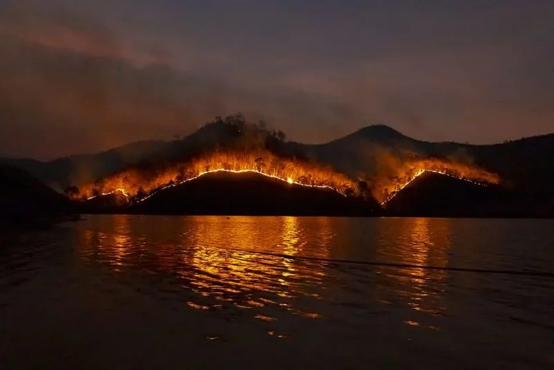 incendios 2.webp