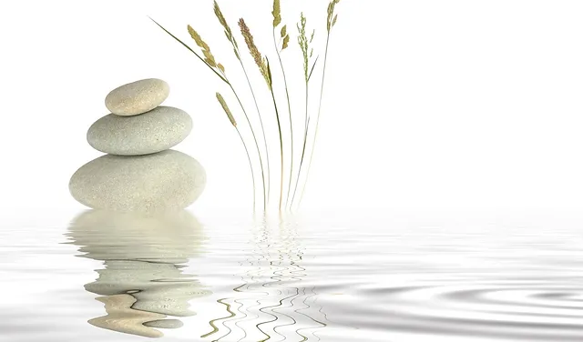 Award Winning Spa Massage Spa Of Winter Park Home