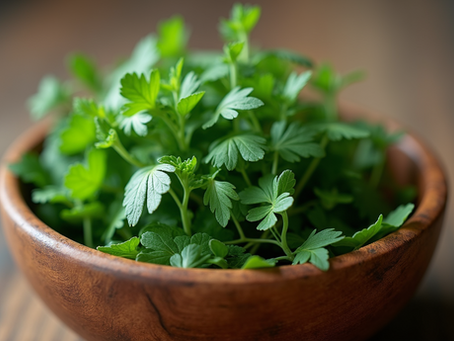 Healthier Alternatives: Choosing Natural Remedies and Their Natural Remedy Benefits