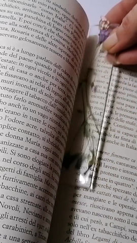 Miniature : SEGNALIBRO