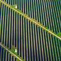field of pannels