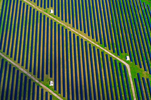field of pannels