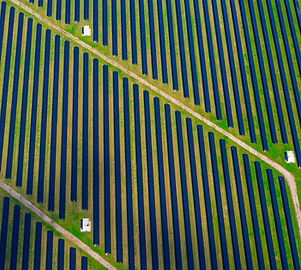 field of pannels