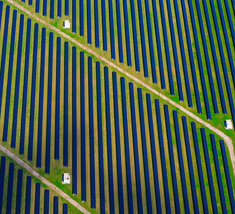 field of pannels