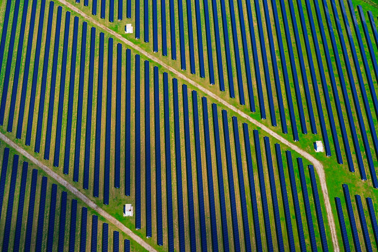 field of pannels