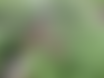 A Funny Thing Happened on the Way to the Caregiving Blog