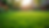 Image shows a lush green lawn having just recovered from a lawn renovation
