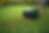 Image shows a lush green lawn getting aerated