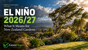 New Zealand garden experiencing strong winds during El Niño conditions