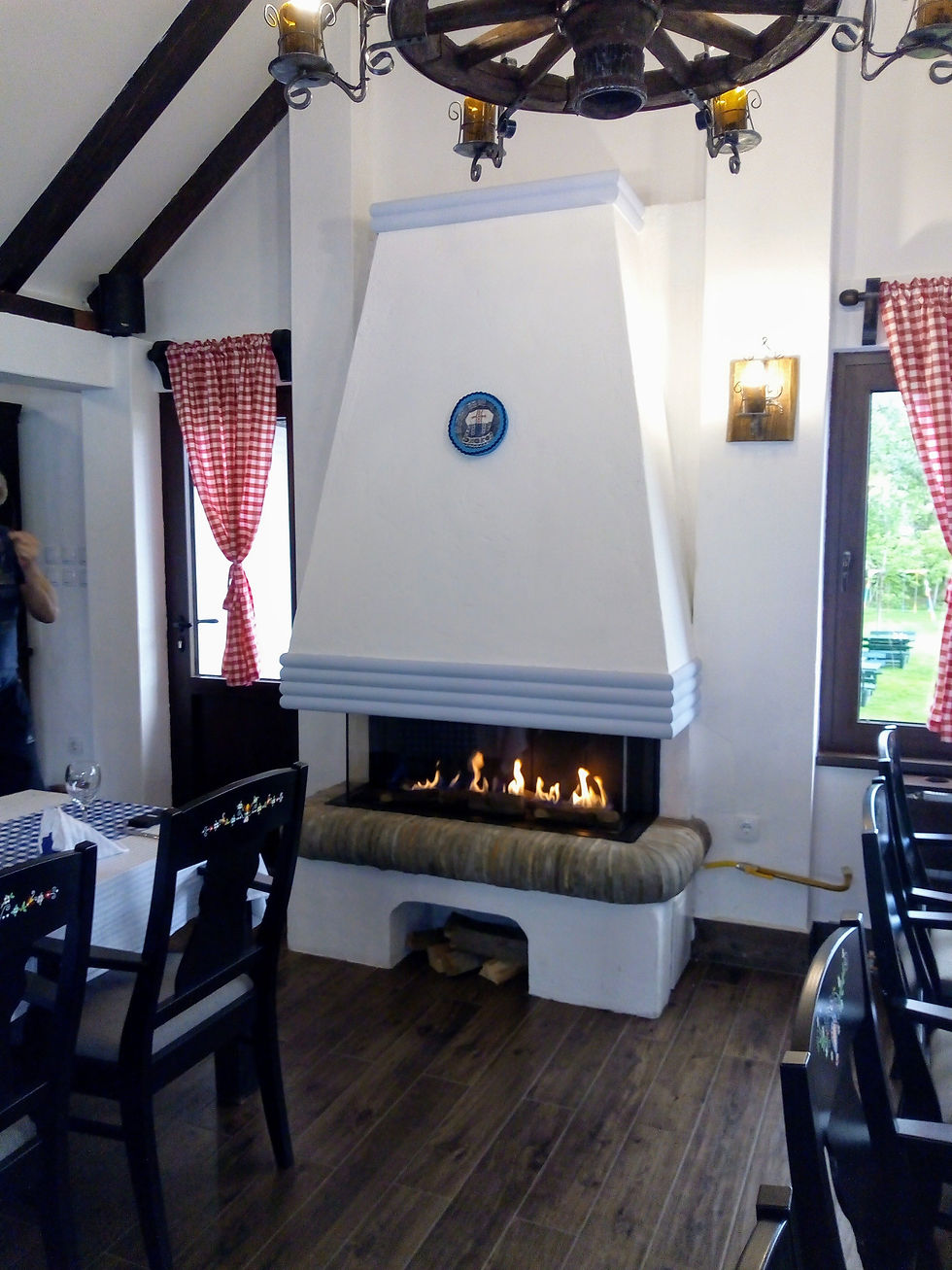 Kamin na gas A4