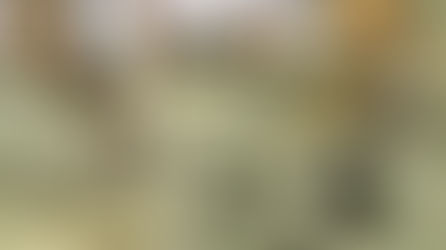 El trabajador con más de un sueldo debe declararlo