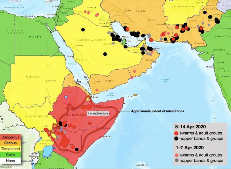 Fighting locust swarms and coronavirus in NE Africa