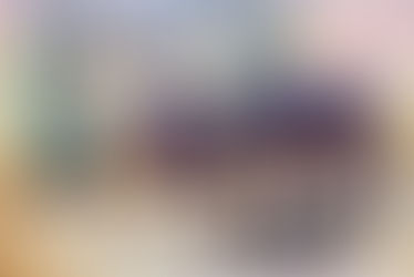 The Donkey That No One Could Ride