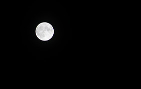 IMG_0267.jpg